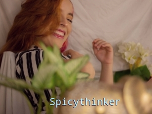 Spicythinker