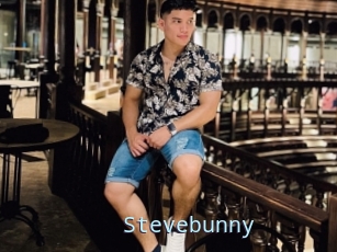 Stevebunny