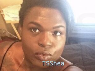 TS_Shea