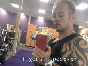 Tigerstripes6767