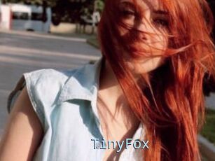 TinyFox