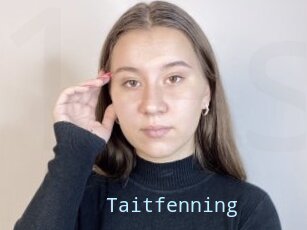 Taitfenning