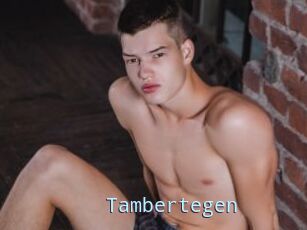 Tambertegen