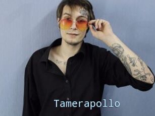 Tamerapollo