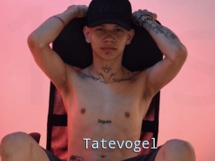 Tatevogel