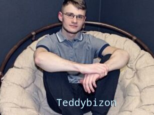 Teddybizon