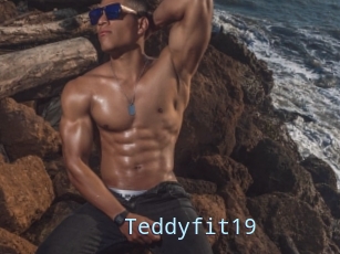 Teddyfit19