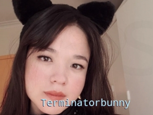 Terminatorbunny