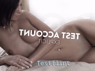 Testflint