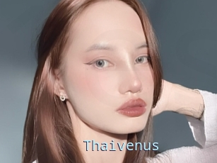 Thaivenus