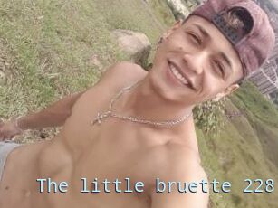 The_little_bruette_228