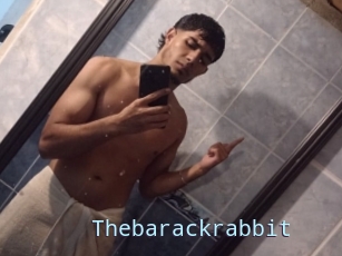 Thebarackrabbit