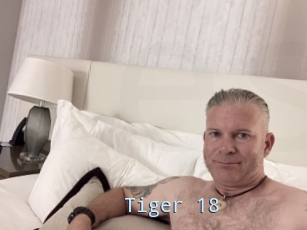 Tiger_18