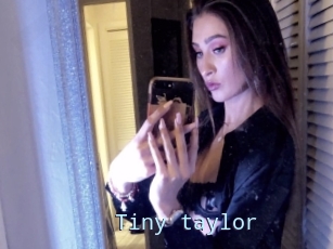 Tiny_taylor