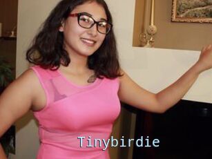 Tinybirdie