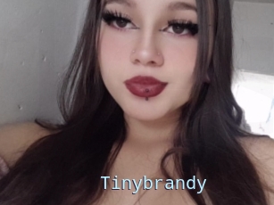 Tinybrandy