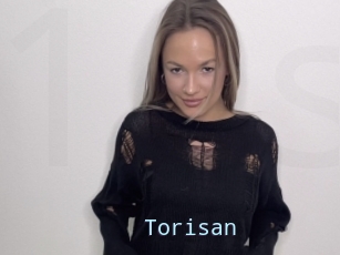 Torisan