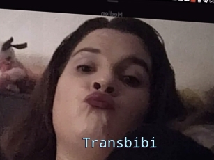 Transbibi