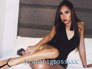 Transbigbossxxx