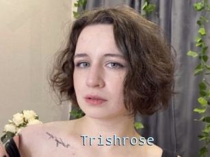 Trishrose