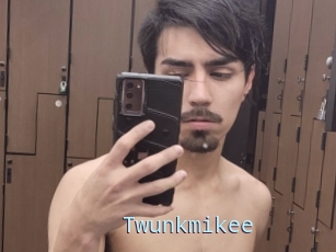 Twunkmikee