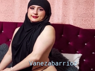 Vanezabarrioz