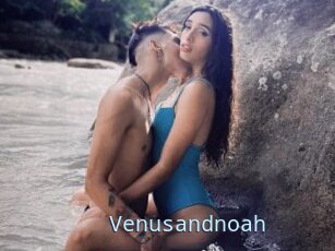 Venusandnoah