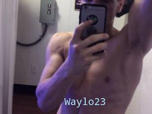 Waylo23