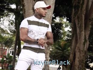 WayneBlack