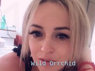 Wild_Orrchid