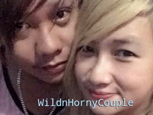 WildnHornyCouple