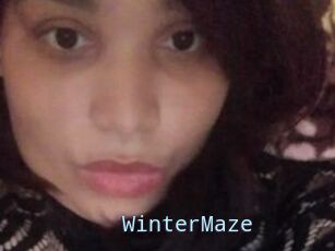 Winter_Maze