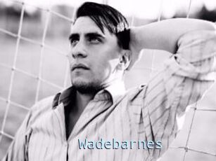 Wadebarnes