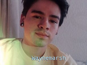 Waynemarsh