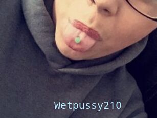 Wetpussy210