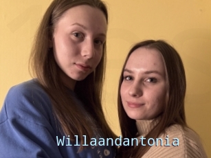 Willaandantonia