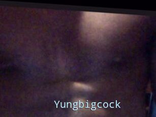 Yungbigcock